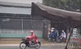 TPHCM có mưa 'vàng' giải nhiệt ở nhiều nơi