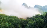 Khói bụi do nổ mìn phủ trắng một góc trang trại nhà ông Chiểu trưa 2/12 (ảnh người dân cung cấp)