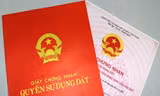 Ảnh minh họa: Internet