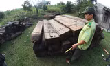 Gỗ lậu trong rừng Bà Nà - núi Chúa được tập kết tại trạm kiểm lâm dốc Kiền (Quảng Nam). Ảnh: Nam Cường