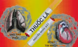 Thuốc lá là nguyên nhân gây nên bệnh tim mạch và ung thư phổi.