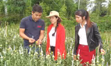 Y Linh Niê (ngoài cùng bên trái) tại vườn cúc nhà mình.