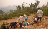 Trên bãi vàng Bồng Miêu. Ảnh: Dân Trí