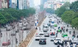 Hàng cây phong lá đỏ vừa được trồng trên phố Trần Duy Hưng (Hà Nội).