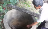 Giếng nước nhà ông Phạm Văn Phước bị nhiễm phèn, mặn không thể sử dụng.