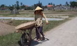 Diêm dân lao lực trên đồng muối dưới nắng nóng khốc liệt. Ảnh: Cảnh Huệ