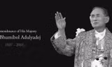 Người dân Thái mặc áo hồng cầu nguyện cho Vua Bhumibol Adulyadej nhanh chóng hồi phục.