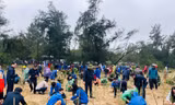 Tuổi trẻ Khối cơ quan T.Ư thực hiện nhiều công trình, phần việc 'xanh' ứng phó biến đổi khí hậu