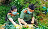Thượng úy Công an chớp khoảnh khắc đẹp khi đồng đội hái nông sản gửi người dân vùng dịch