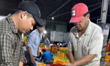 Ra biển trở về bờ, ngư dân Bà Rịa-Vũng Tàu bắt được nhiều loại cá gì mà ai cũng trầm trồ
