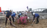 Tuổi trẻ ngành than hưởng ứng Ngày môi trường thế giới