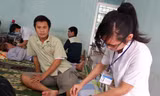Rắn lục đuôi đỏ xuất hiện tại Bình Định