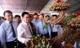 Nhãn lồng từ xưa đã là sản vật tiến vua. Ảnh: TC.