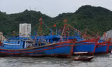 Để tàu cá ngư dân đánh bắt bất hợp pháp ở nước ngoài, chủ tịch tỉnh phải chịu trách nhiệm trước Thủ tướng. Ảnh: Bình Phương.