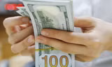 Tỷ giá căng vì ẩn số giá dầu, nhập siêu?