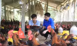 Anh Hoàng Huy Tuấn giới thiệu cách chăm sóc gà với cán bộ Tỉnh Đoàn Yên Bái. Ảnh: Trường Phong.