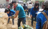 Các bạn sinh viên bốc dỡ dưa cho khách.