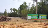 Sốt đất chưa từng có ở Phú Quốc