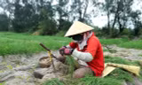 Nông dân lo mất Tết vì kiệu mất mùa rớt giá