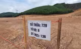 Nơi rầm rộ tách thửa, nơi tìm cách bỏ cọc đấu giá