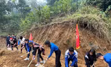 Tuổi trẻ Lào Cai triển khai nhiều hoạt động chào mừng thành công Đại hội Đoàn toàn quốc XII