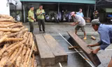 Bị phát hiện chở gỗ lậu, tài xế bỏ xe tháo chạy