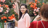 Người Hải Phòng check-in vườn hoa trung tâm cận Tết 