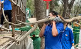 Tuổi trẻ Hải Phòng, Hải Dương khắc phục hậu quả cơn bão số 3 