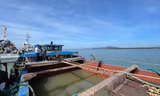 Cảnh sát biển bắt quả tang tàu đang hút cát trái phép 