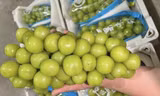 Nho sữa Trung Quốc bị phát hiện có chất cấm ở Thái, Việt Nam kiểm soát ra sao?