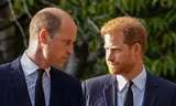 William gặp Harry