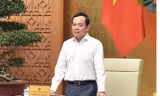 Nổi lên hiện tượng khai thác, xuất khẩu trái phép khoáng sản, đất hiếm