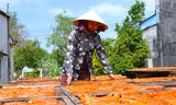 Mứt miền Tây hối hả vào Tết