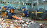 Việt Nam lo ngại quy định mới về cá da trơn