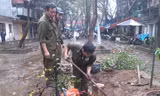 Công nhân Công ty công viên cây xanh Hà Nội thu dọn hiện trường cây sưa đỏ bị cưa trộm