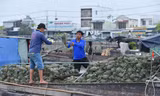 Người dân mua bán hàng hóa tại chợ nổi Cái Răng Ảnh: Hòa Hội 
