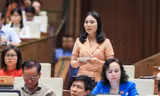 ĐBQH chất vấn các thành viên Chính phủ ảnh: như ý