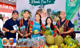 Nhóm bạn trẻ Khánh Sơn Eco khởi nghiệp với mô hình du lịch sinh thái tại huyện Khánh Sơn
