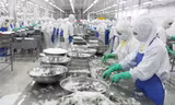 Dịch COVID-19 lây lan rộng tại các tỉnh ĐBSCL vào đúng thời điểm tăng tốc xuất khẩu khiến DN đang mất nhiều cơ hội kinh doanh