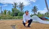Cam kết giải phóng hàng nghìn tấn lúa Việt Nam ngon nhất thế giới bị ế