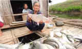 Nước sông Bưởi ô nhiễm do nhà máy xả thải khiến cá trắm nuôi lồng ở huyện Thạch Thành (Thanh Hóa) chết. Ảnh: Zing 