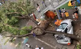 Hàng loạt ô tô ở Hà Nội bị đè bẹp sau khi bão số 3 quét qua