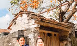 Cây hồng cổ xuyên không