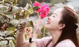 'Thủ phủ hoa hồng' ở Đà Lạt đắt hàng dịp Valentine dù giá tăng mạnh