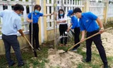 Tuổi trẻ TT-Huế tích cực hưởng ứng chiến dịch thanh niên tình nguyện hè 