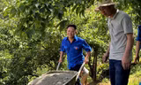 Bí thư Đoàn người Mông làm du lịch 