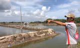 Dừng phân lô bán nền dự án 'vẽ' trên đất ruộng muối