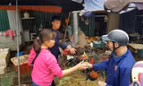 Chồn chân chờ gà cúng ông Công ông Táo, nhiều người muộn làm