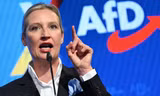 Lãnh đạo AfD Alice Weidel. (Ảnh: AP)
