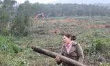Ngang nhiên tàn phá rừng phòng hộ